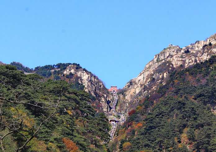 山東泰山