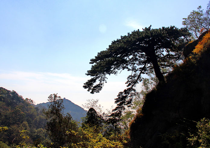 山東泰山